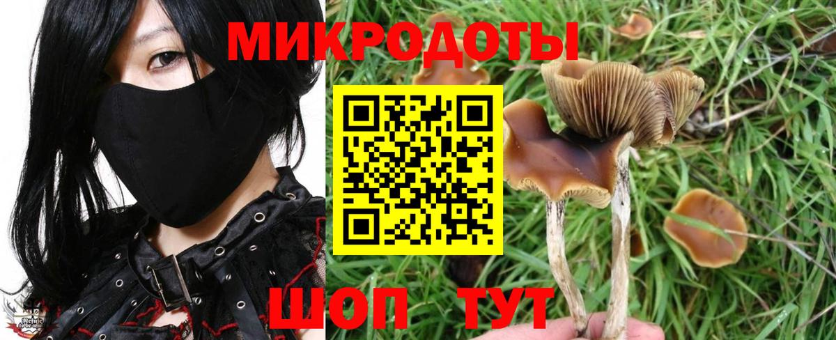 Тула  Галлюциногенные грибы мухоморы  Вход с VPN  Галлюциногенные грибы Cubensis 